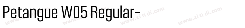 Petangue W05 Regular字体转换